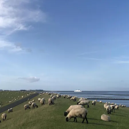 Hafenperle 21 - Traum Am Hafen Norddeich (Norden)